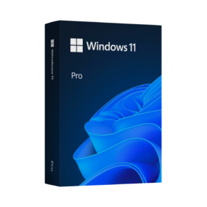 Windows PRO 11